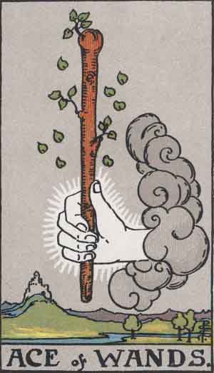 Ace Tarot Card